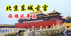 美女黄色搞色爽网站中国北京-东城古宫旅游风景区